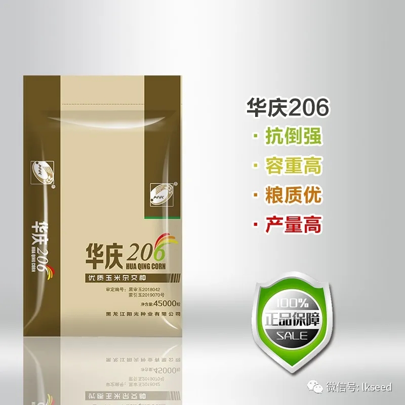 1590050102577136.jpg 640.webp.jpg